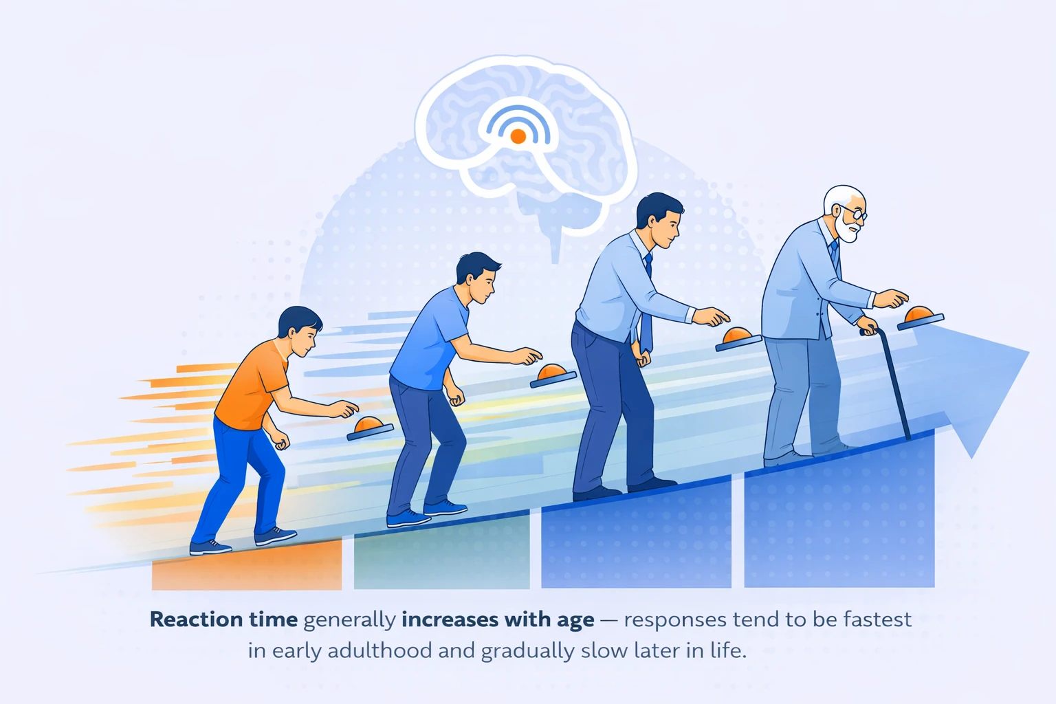 Average reaction time by age chart showing how reaction speed changes across the lifespan